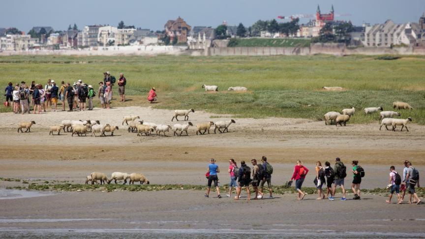 Les Arts - Cocon Romantique En Baie De Somme Boismont  Bagian luar foto
